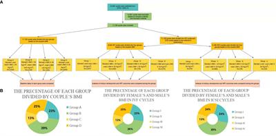 Abnormal BMI in Male and/or Female Partners Are Deleterious for Embryonic Development and Pregnancy Outcome During ART Process: A Retrospective Study